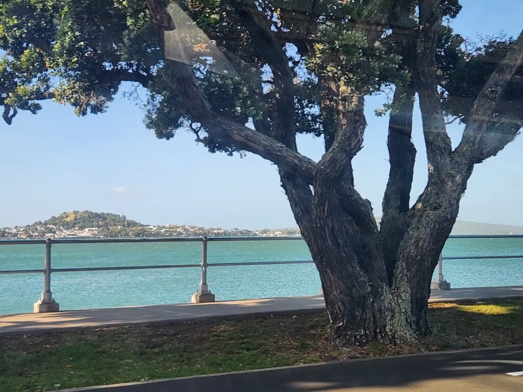 20260215 175553 1024x768