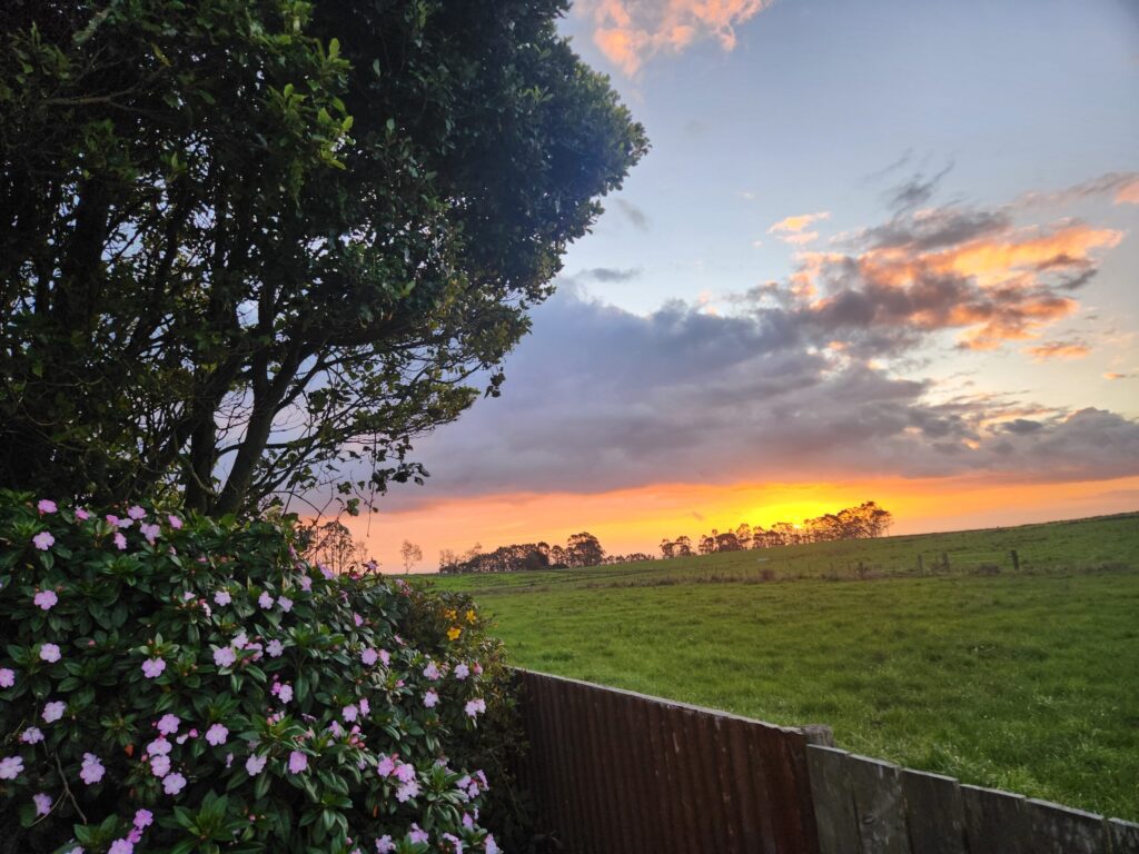 20260217 201625 1024x768