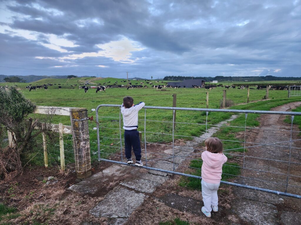 20260217 201914 1024x768