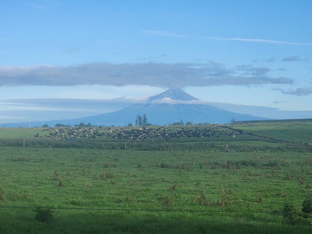 20260218 084247 1024x768