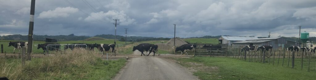 20260218 151345 1 1024x261