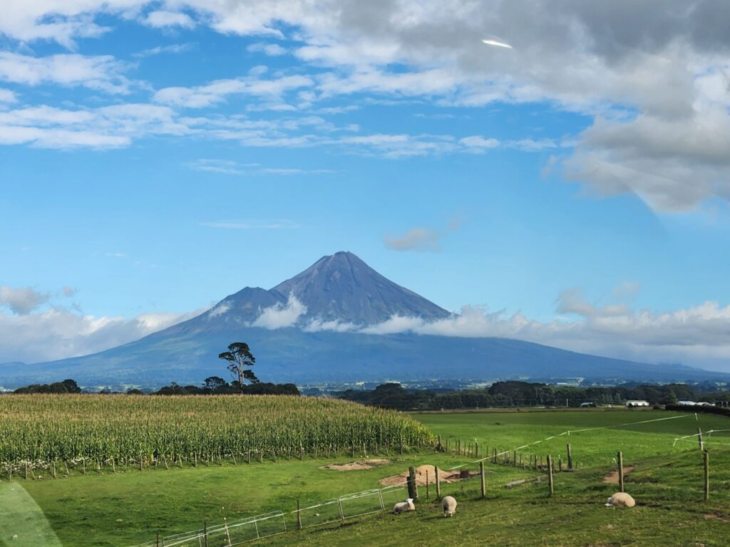 20260219 101826 1024x768