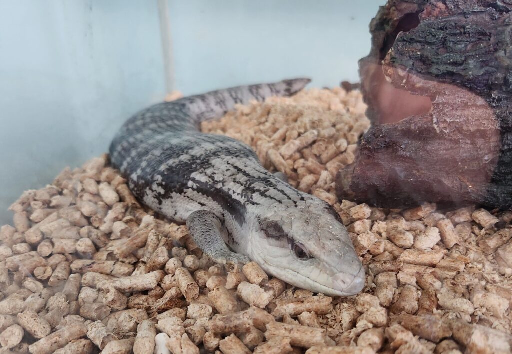 20260224 081947 1024x708