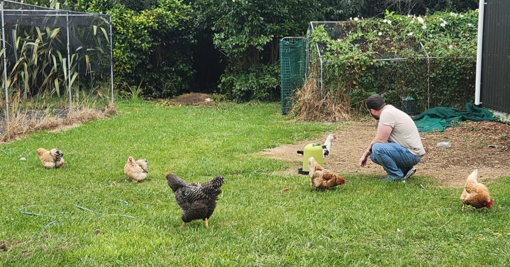 20260227 153753 1024x537