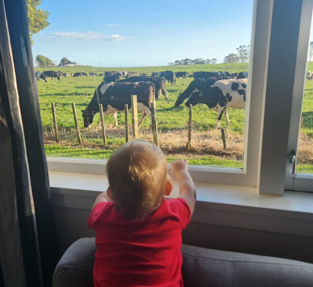 20260228 184705 1024x938