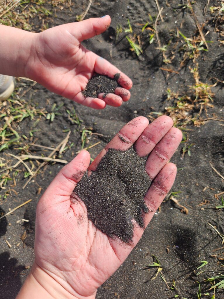 20260307 170612 766x1024