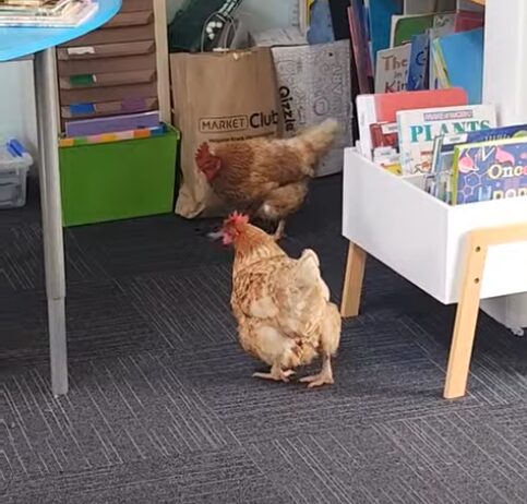 Screenshot 2026 03 22 225133