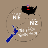 from ne to nz logo (160 x 160 px)